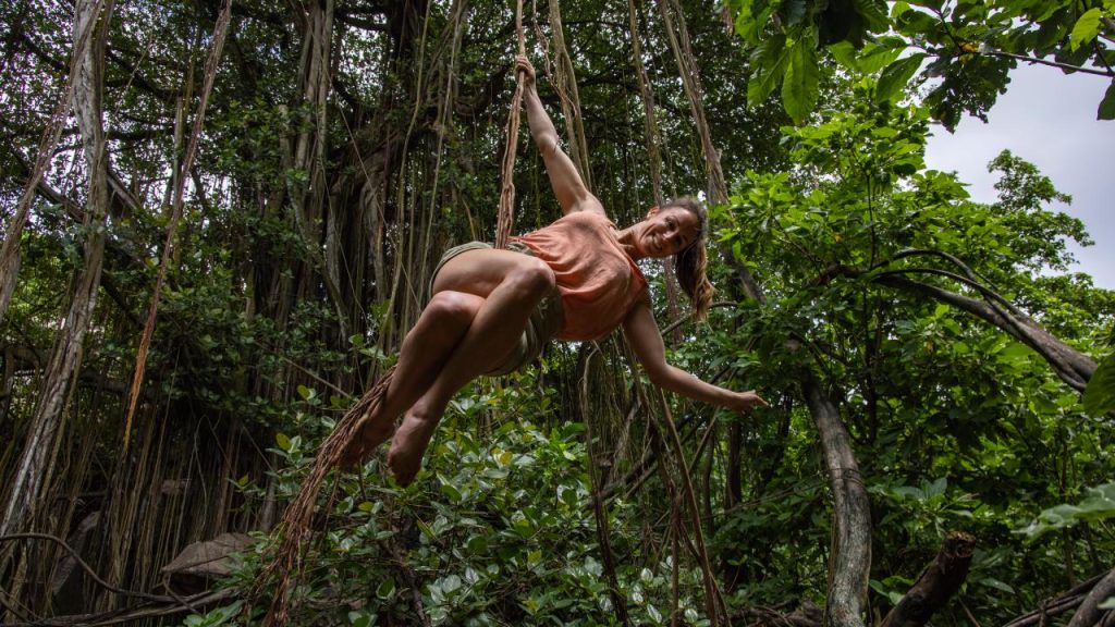 The Seychelles Island Odyssey