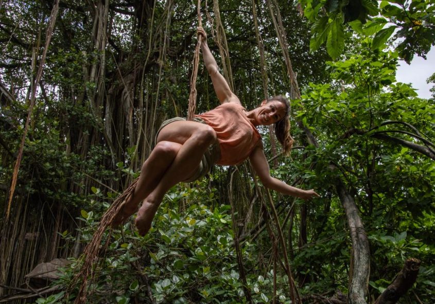 The Seychelles Island Odyssey