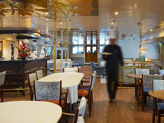 Pegasus Interior Dining Area