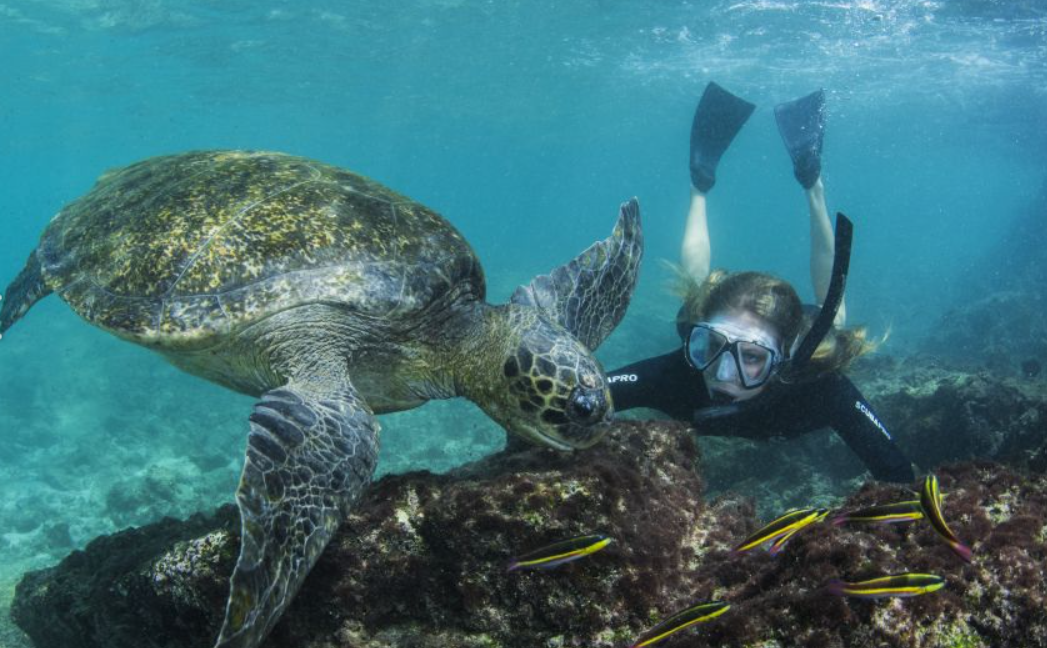 Galapagos Expedition Cruise, Galapagos Expedition Cruise