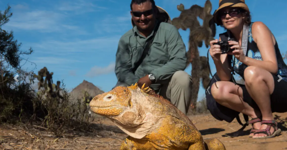 Galapagos Expedition Cruise, Galapagos Expedition Cruise