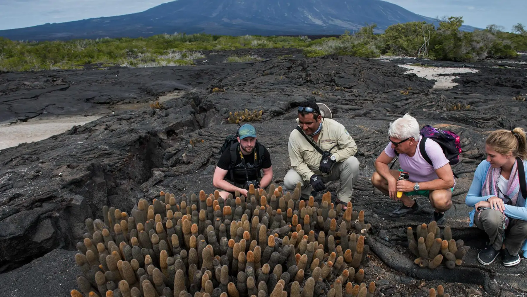 Galapagos Expedition Cruise, Galapagos Expedition Cruise