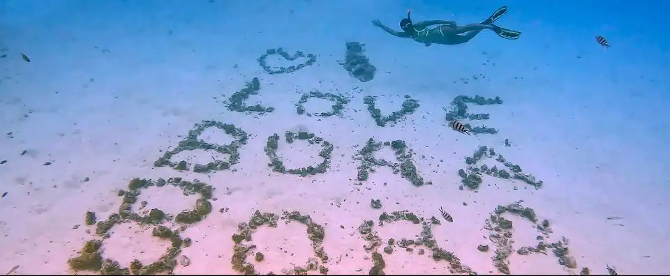 A traveller snorkelling above an underwater message, enjoying a small cruise ship excursion. A traveller snorkelling above an underwater message, enjoying a small cruise ship excursion.