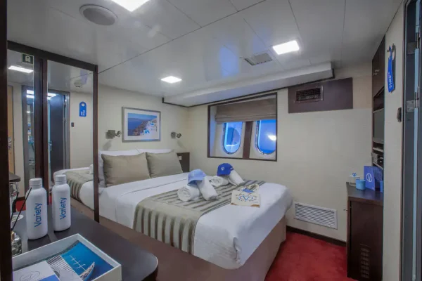 Harmony V Category C Cabin