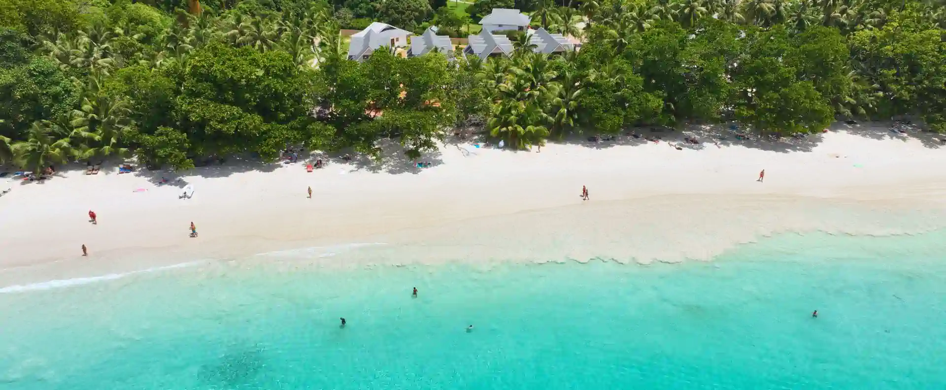 Aerial view of a turquoise beach in Praslin with swimmers and lush tropical greenery