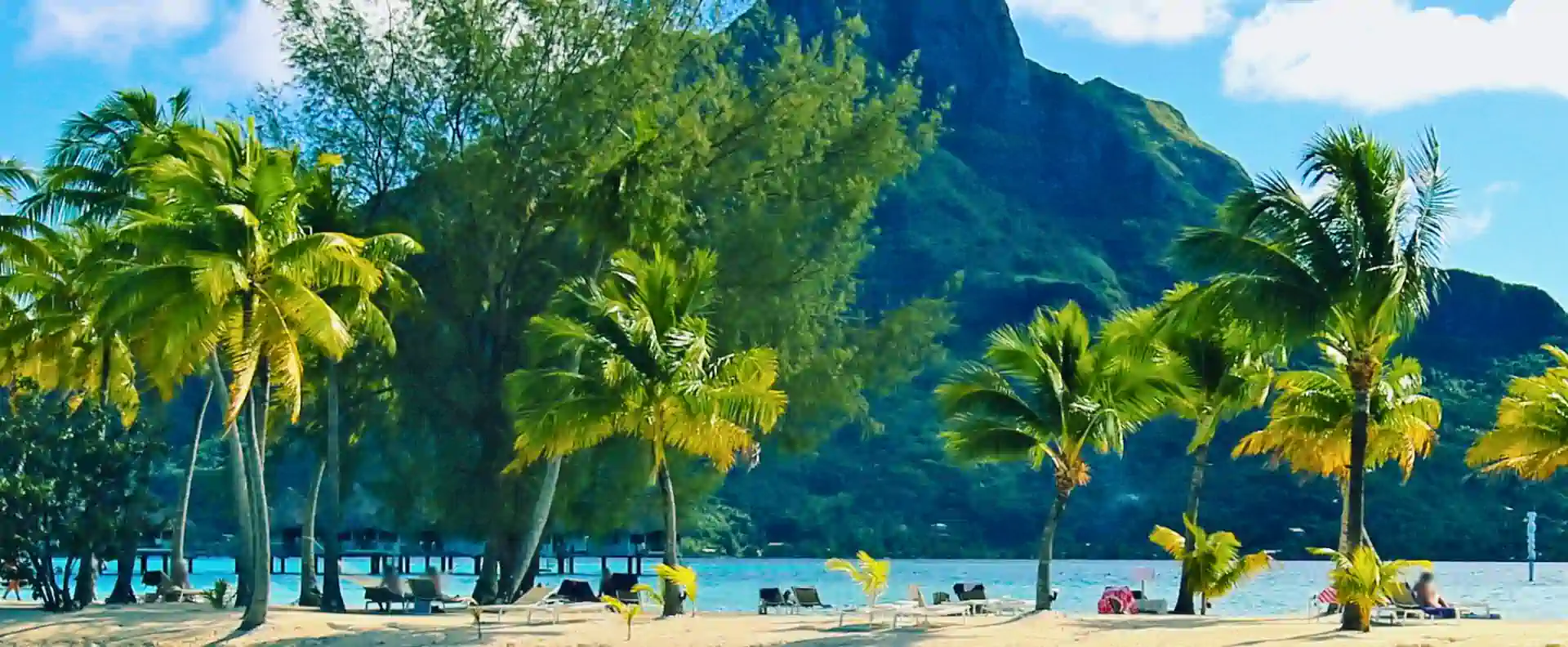 A palm-fringed beach with sun loungers, offering a perfect shore excursion for small ship cruise. A palm-fringed beach with sun loungers, offering a perfect shore excursion for small ship cruise.