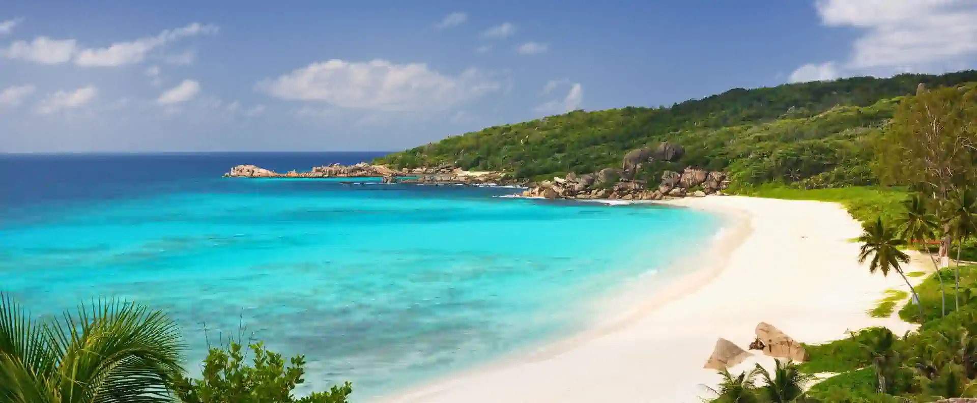 A pristine white sand beach with lush greenery, an exclusive stop on a small ship cruise.