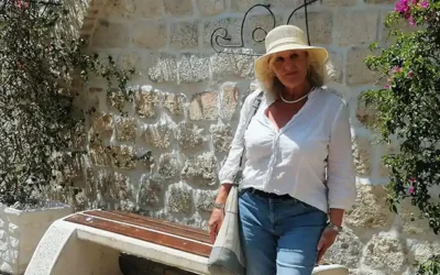 HERO MARION Panoramic sunset view of Mykonos with a traditional white windmill overlooking the town and harbour