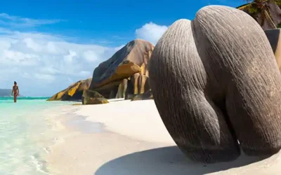 seychelles-island-hopping-la-digue-granite-boulders Seychelles island hopping at Anse Source d’Argent, La Digue—granite boulders, white sand and turquoise water.