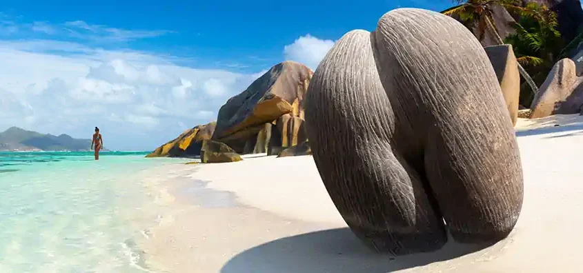 Seychelles island hopping at Anse Source d’Argent, La Digue—granite boulders, white sand and turquoise water.